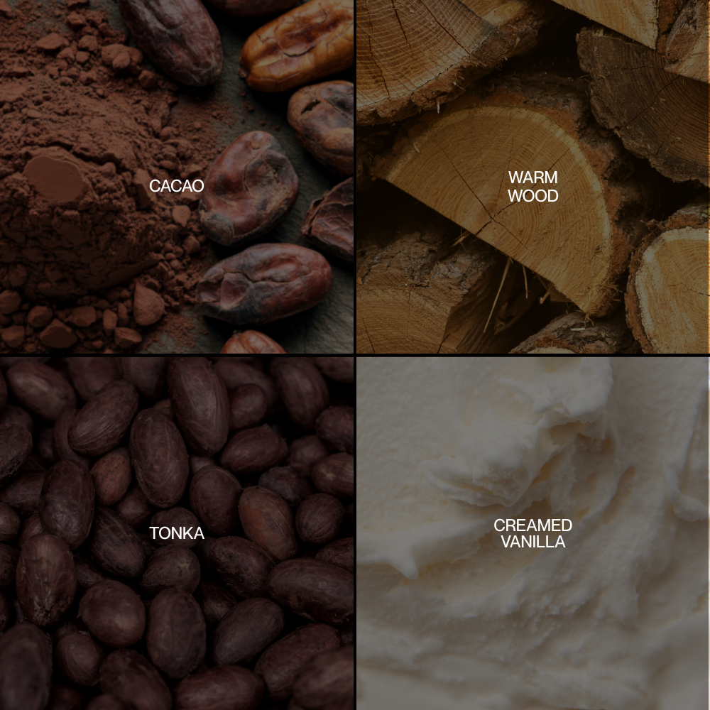 Midnight Behavior Perfume